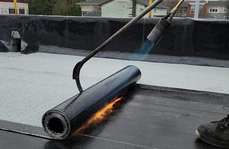 Untitled design (10)