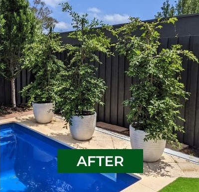 MOBILE WEB 800 x 500 - 1