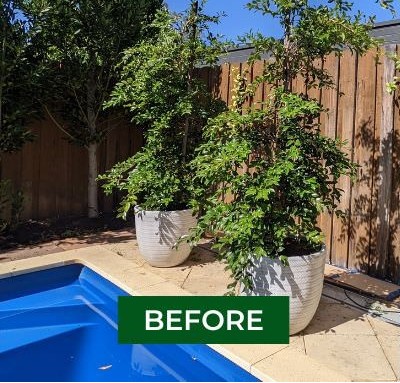 MOBILE WEB 800 x 500 - 1